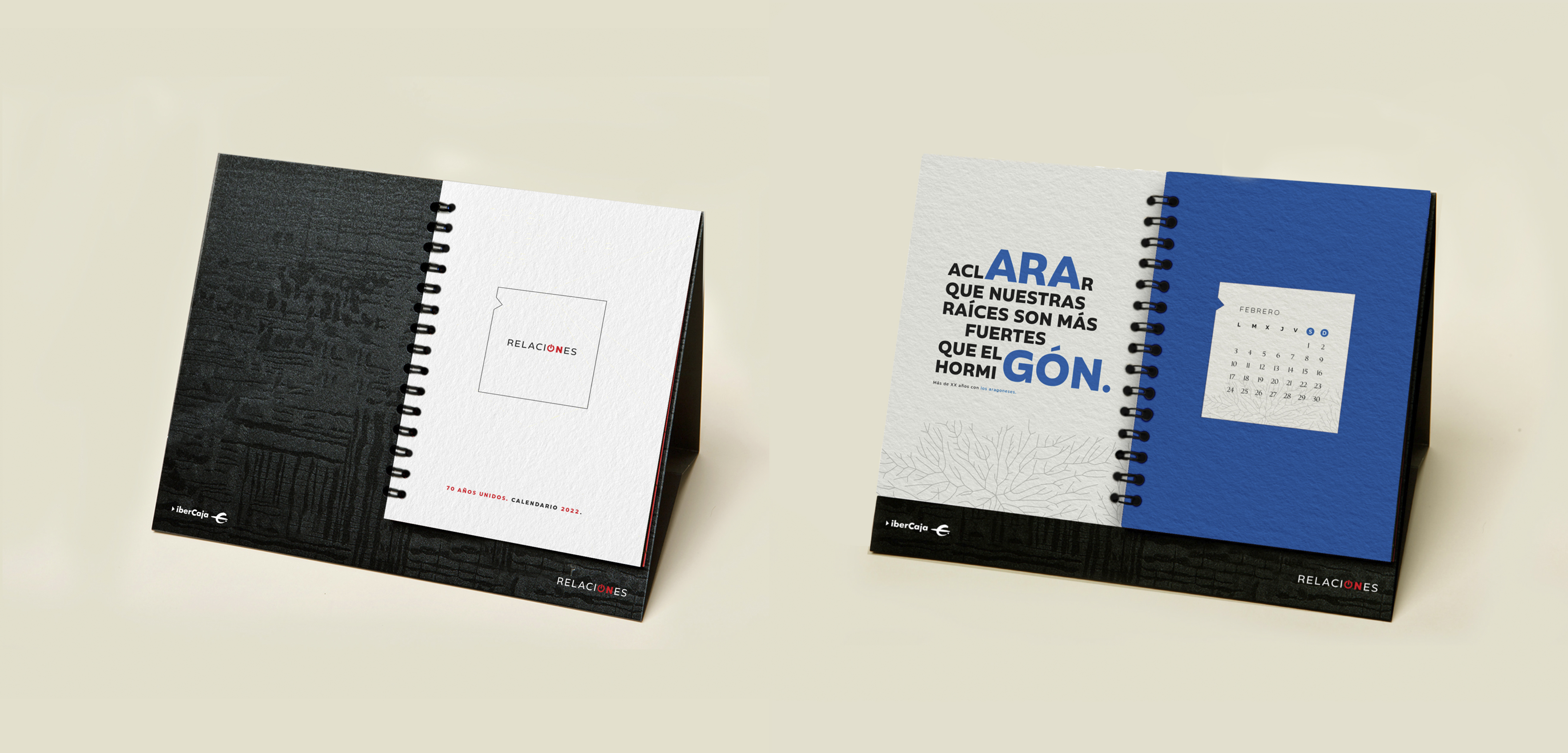 Ibercaja Relationships insight visual.